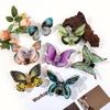 1 Colorful Butterfly Hair Clip, Summer Fresh Acetic Acid Texture Semi-grab Clip, Shark Clip, New Women's Headwear