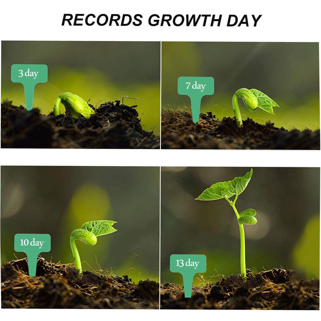 Soil Blocker Soil Block Maker 2 Inch 8 Cell Soil Blocking Tool Kit with 3 Sizes Seed Pins