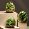 1PC Creative New Egg-shaped Glass Bottles Succulent Glass Vase Hydroponic Micro Landscape Glass Terrarium Moss Home Decoration