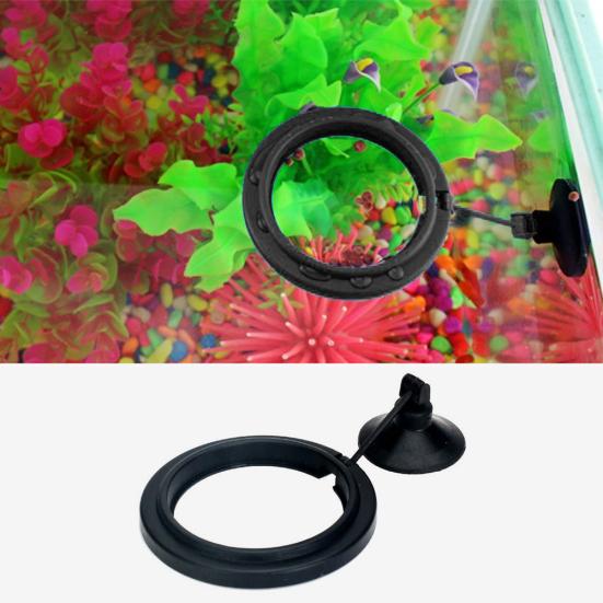 Fish Tank Floating Food Feeder Buoyancy Ring Suction Cup Pool Feeding Tool