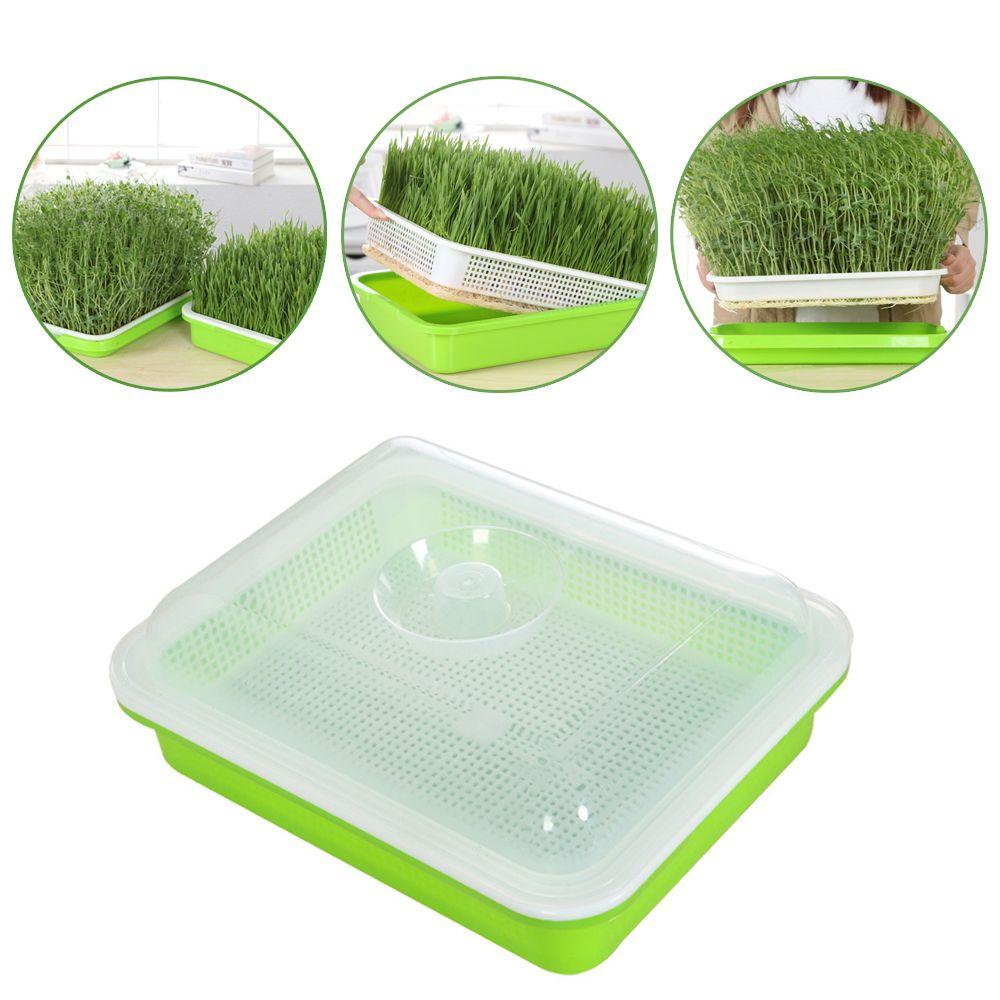 Indoor Nursery Paper Hydroponic Tray Grow Nursery Pots Plant Box Sprout Pot Seed Sprouter Tray