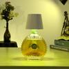 LED Wine Bottle Lamp Rechargeable Remote & Touch Control RGB 3 Colors Stepless Dimming Night Light Desktop Decorative Lamp