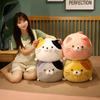Cute Tuan Tuan Cat Throw Pillow Plush Toy Kitten Doll Girl Bed Cushion Pillow Rag Doll Gift
