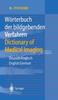 The Woerterbuch Der Bildgebenden Verfahren/Dictionary of Medical Imaging : Deutsch/Englisch, English/German Book