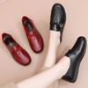 Spring and Autumn Shoes Single Shoes Soft Sole Comfortable Flat Sole Leather Shoes In the Elderly Women's Shoes Leap Month