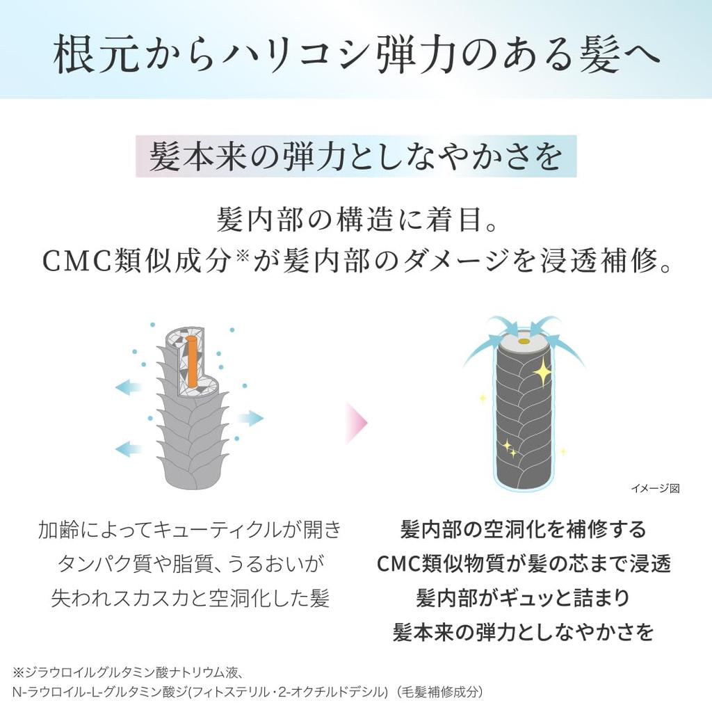 Scalp D Beaute Medicated Scalp Shampoo Refill Set Scalp D Shampoo Refill (Volume) 2-piece