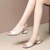 Fashion Plastic Sandals Luxury Women's Shoes Platform Dress Designer Woman Low Heel 2024 Elegant Heels Comfortable Coonfort Heeled