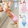 Female Dog Menstrual Pants with Suspender Pet Period Diapers Reusable Dog Sanitary Pantie Breathable Dog