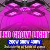 Ac85-265v Led Grow Light Plant Seed E27 Full Spectrum Hydroponic Lampara Panel Bombilla Grow Tent