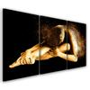 Three Piece Picture Canvas Print Female Golden