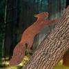 1pc Creative Tree Insert - Rusty Squirrel Silhouette Metal Decoration. Tree Stakes. Branch Insert for Home Garden Patio.