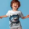 Boys 3D Shark Tee Shirt Short Sleeve 3D Print Summer Active Sports Fashion Polyester Kids Crew Neck Outdoor Casual Daily Regular