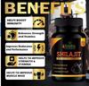 Siddha Cure Shilajit Capsule for Stamina Pack 2( 30 Caps X 2 )