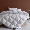 White Goose Down Comforter Double King Queen Size Hotel Fluffy Duvet Insert All Season Thickened Warm Quilt Solid Color Blanket