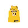 LeBron James Icon Edition Lakers Fan Pullover Basketball Jersey Women Jersey Yellow AA7125-736