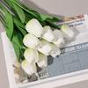 2 Bunch of PU Simulation Tulips