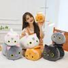 Cat Doll Plush Toy Stress Relief Soft Fluffy PP Cotton Fabric Huggable Animal Pillow Doll Snuggly Sensory Toy