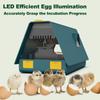 Incubator for Hatching Eggs Automatic Egg Turning 10 Eggs LED Efficient Egg Illumination Display Screen Multifunctional Egg Tray Visible Device Cover