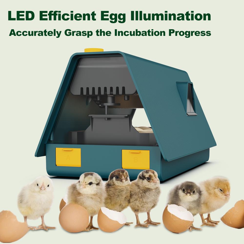 Incubator for Hatching Eggs Automatic Egg Turning 10 Eggs LED Efficient Egg Illumination Display Screen Multifunctional Egg Tray Visible Device Cover