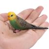 Plastic Bird Figurines Miniatures Budgerigar Toy Animal Sculpture Parrot Ornament Living Room