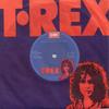 7inch Record T. REX - The Groover MARC5 T. REX 1973 Netherland Rock Used