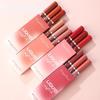 Makeup 3 Color Matte Lip Glaze Set Matte Waterproof Non-stick Cup Air Velvet Lip Gloss Lipstick Set Box