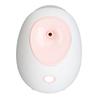 Hot Face Steaming Machine Moisturizing Skin Steaming Device with 180ml Water Tank   White