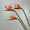 Artificial Flower Lifelike Bird of Paradise Realistic Non-fading And Low Maintenance Home Decoration