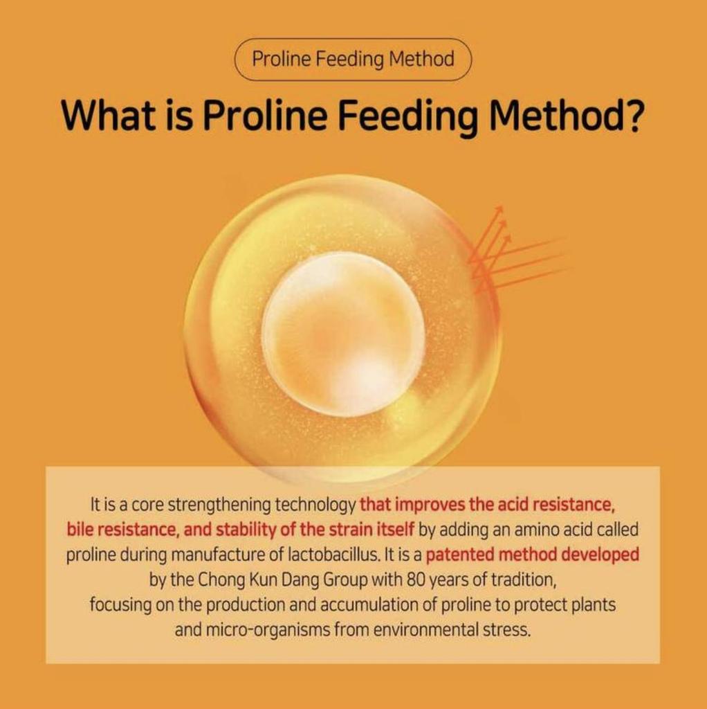 Lacto-Fit Care Probiotics – Advanced Digestive & Gut Health Support (60P, 120g) (OPTIONAL)