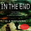 In The End Dyslexicfriendly Edition by G J Stevens Paperback Book 9781838366070