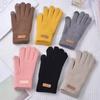 Knitted Gloves Wool Ladies Winter Thickened and Fleece Morandi Candy Color Maillard Gloves