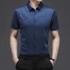 Summer Shirt Men's Short-Sleeved Business Shirt Young and Middle-Aged Seamless Korean Casual Dad Wear Thin Fashion