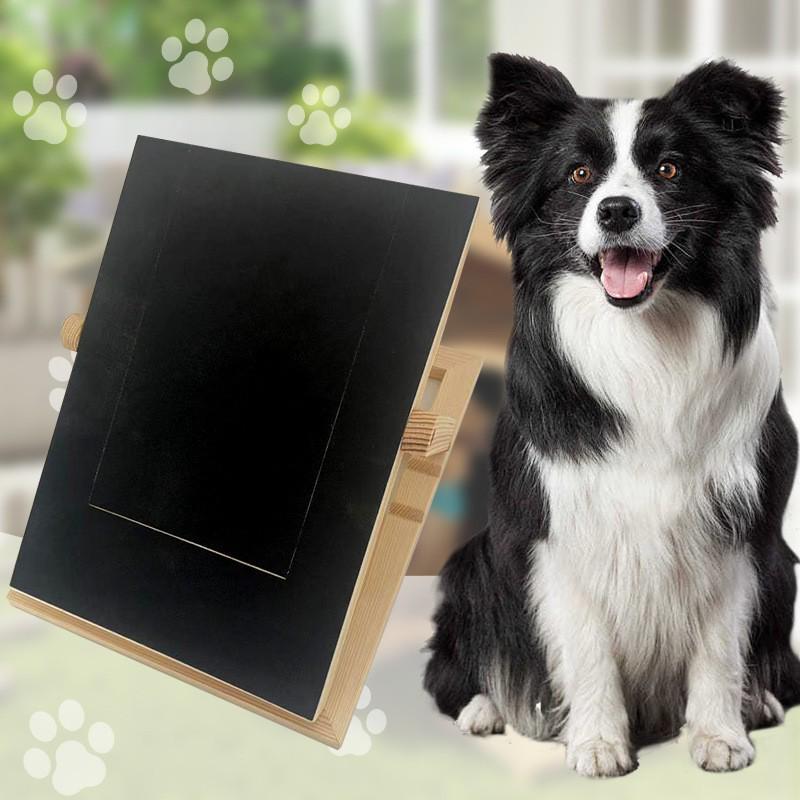 Adjustable Wooden Dog Nail Scraper & Scratch Board with Food Bowl Feeder