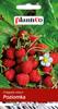 Wild Strawberry Baron Von Solemacher Vegetable Seeds for the Garden 0.2g