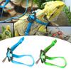 Reptile Lizard Chest Strap Harness Leash