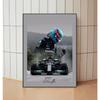 F1 Racer Collectible Series Poster Print Canvas Art Pictures Home for Living Room and Bedroom Wall Decor Frameless Painting