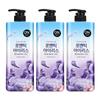 Flower Romantic Iris Mildly Acidic Perfume Body Wash, 900g, 3 Units