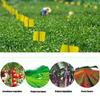 Glue Garden Supplies For Aphids Flies Bug Insect Trap Insect Killer Pest Control Sticky Board