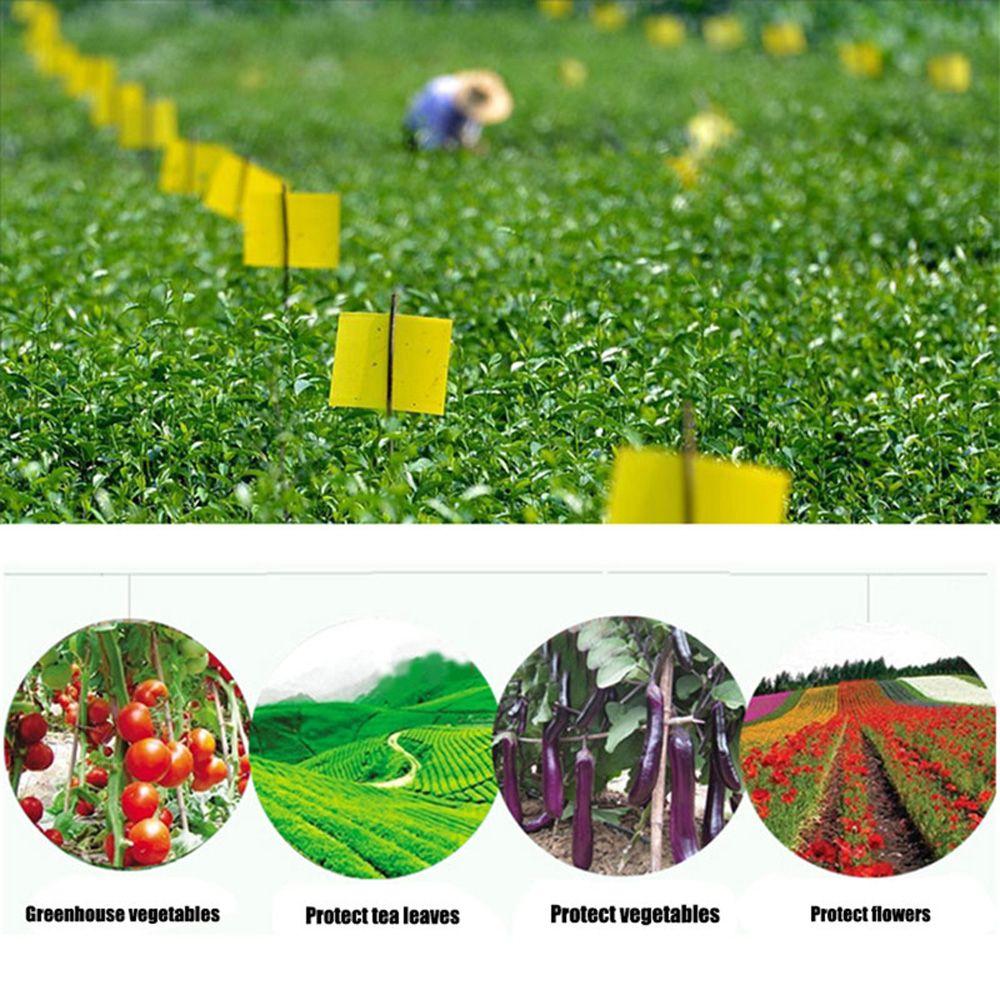 Glue Garden Supplies For Aphids Flies Bug Insect Trap Insect Killer Pest Control Sticky Board