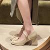 Fairy Style Square Root High Heels for Women's Spring New Popular Models with French Mary Jane High Heels for Women