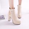Fashion Fashion Ankle Boots Solid Color Round Head Side Zipper Design Autumn Winter Women's Fashion High Heeled Ankle Boot Size 32-43