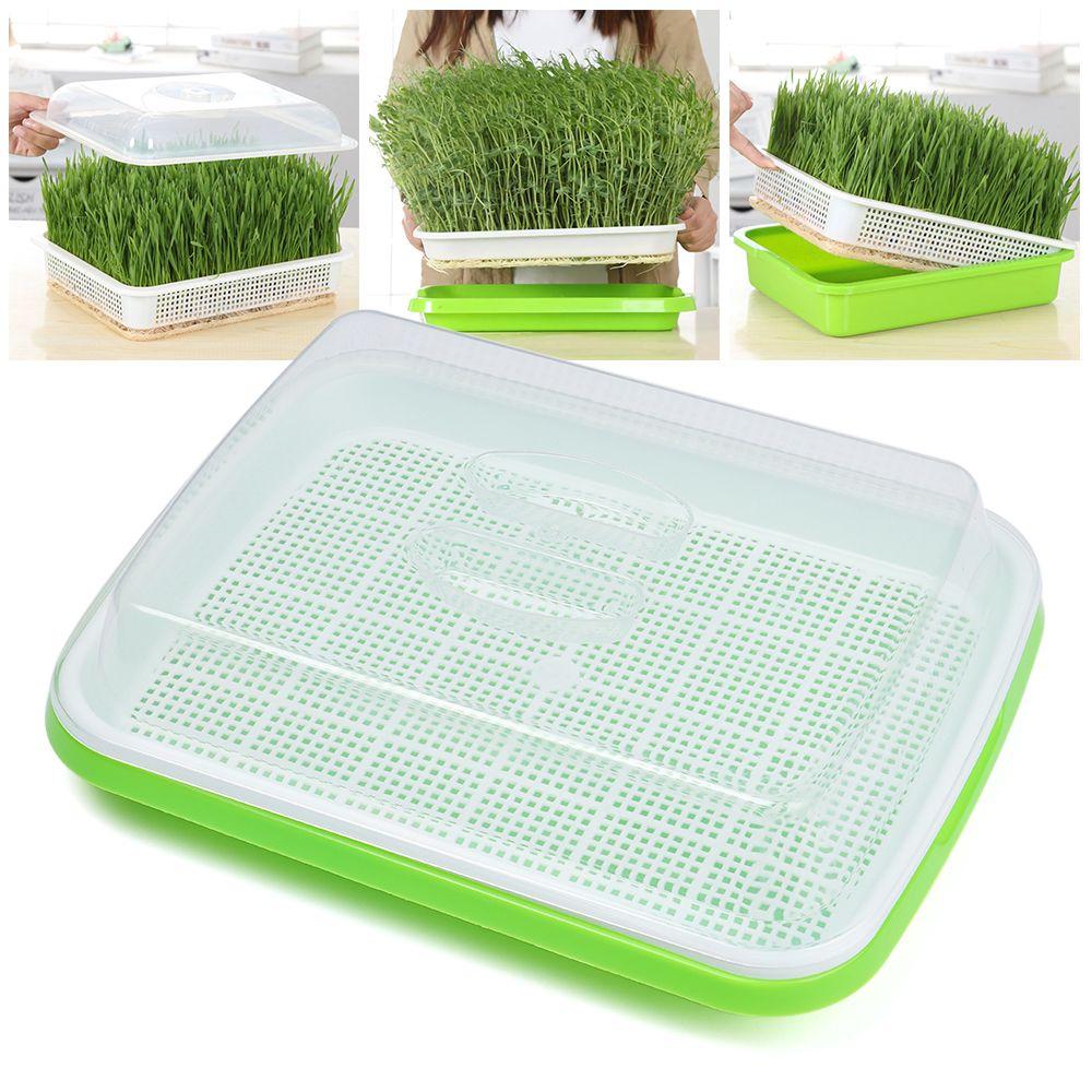 Indoor Nursery Paper Hydroponic Tray Grow Nursery Pots Plant Box Sprout Pot Seed Sprouter Tray