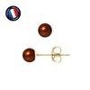 Earrings - - Genuine Chocolate Freshwater Pearls 5-6 Mm - 9 Carat Yellow Gold - 2 Year Warranty