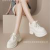 12Cm Round Head Super High Heel Platform Leather Single Shoes Women's 2025 Spring and Autumn New Waterproof Table Muffin Lace-up Small Leather Shoes