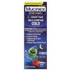 Children's, Multiple Colds, Nighttime, Ages 6+, Very Berry, 4 Fl Oz (118 Ml)