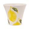 Studio Sho Fresh Art Shintan Hasami Made In Japan J-Kitchens Cup, Lemon, Ware,
