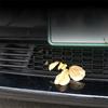 Front Grill Mesh Split Design Front Lower Bumper Air Inlet Vent Cover Grille Guards Protector Cover Auto Exterior Accessories