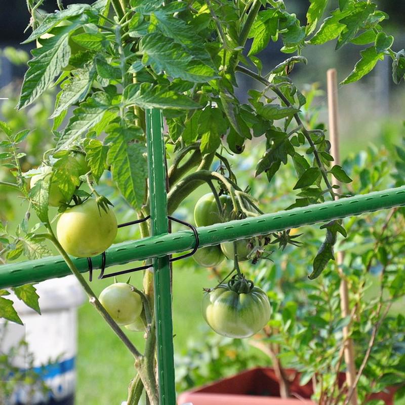 20Pcs Garden Trellis Clips Metal Plant Vine Stakes Connectors Climbing Frame Buckles For Tomato Cucumber Vegetable Support