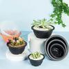 1 Pcs Large New Succulent Pot Plastic Round Succulent Flower Pot Dwarf Pot Horticultural Flowerpot Balcony Flower Basket