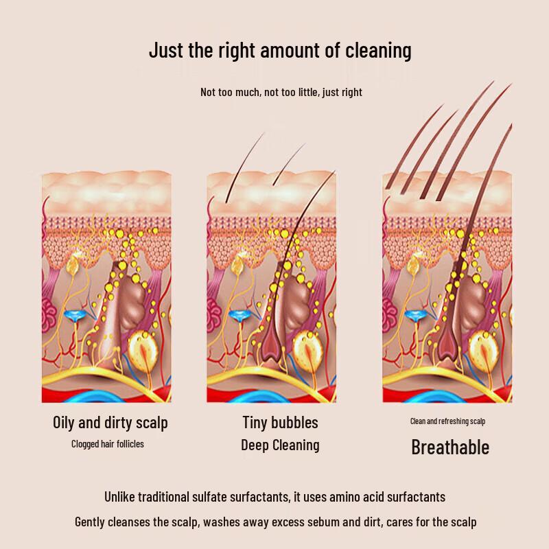 BaWang Moringa Seed Plant Amino Acid Oil Control Anti-Dandruff Shampoo